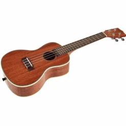 Kala KA-CG Mahogany Concert Ukulele