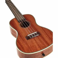 Kala KA-CG Mahogany Concert Ukulele