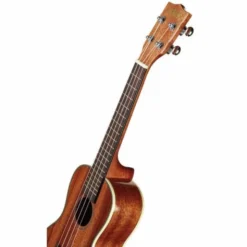 Kala KA-CG Mahogany Concert Ukulele