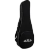 Kala KA-CT-SA-TG Tenor Ukulele