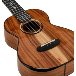 Kala KA-CT-SA-TG Tenor Ukulele