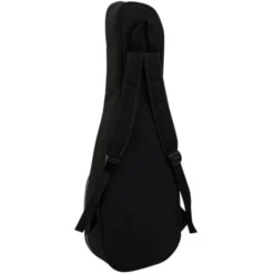 Kala KA-CT-SA-TG Tenor Ukulele