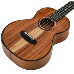 Kala KA-CT-SA-TG Tenor Ukulele