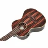 Kala KA-EBY-TE Tenor Ukulele