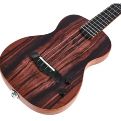 Kala KA-SB-EBY-T Tenor Ukulele