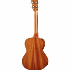 Kala KA-15-T BNDL Tenor Starter Kit