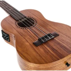 Kala KA-TEAK-BE Baritone Ukulele