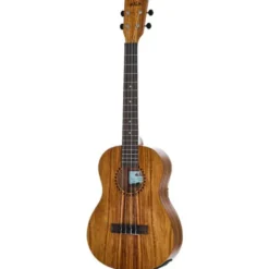 Kala KA-TEAK-BE Baritone Ukulele