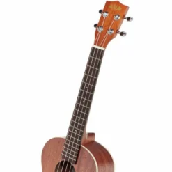 Kala KA-T Tenor Ukulele