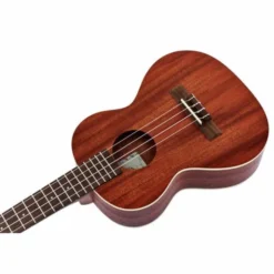 Kala KA-T Tenor Ukulele