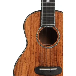 Kala MakalaKA-CTD-SA-TG Tenor Ukulele