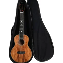 Kala MakalaKA-CTD-SA-TG Tenor Ukulele