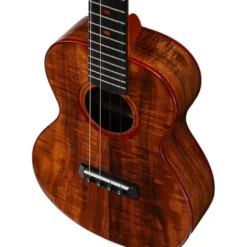Kala MakalaKA-POI-ACA-T Tenor Ukulele
