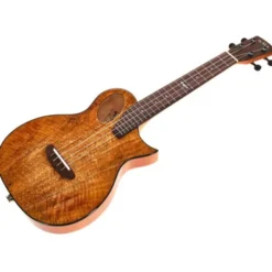 Kala Revelator Night Owl Mango Ten.