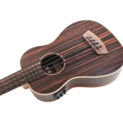 Kala U-Bass Ebony Fretless