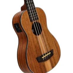 Kala U-Bass Teak Fretted