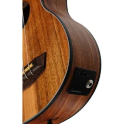 Kala U-Bass Teak Fretted