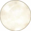 Kentville Drums 18" Kangaroo BDrum Head heavy