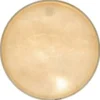 Kentville Drums 14+" Kangaroo Drum Head medium