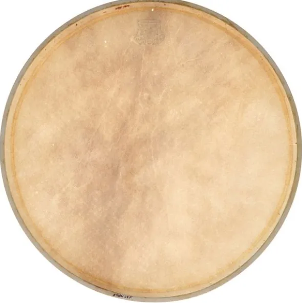 Kentville Drums 14+" Kangaroo Drum Head Fine