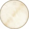 Kentville Drums 14" Kangaroo Drum Head medium