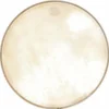 Kentville Drums 16" Kangaroo Drum Head medium