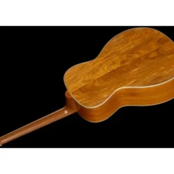 Lakewood M 41 Custom Chakte Viga