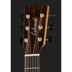 Lakewood M-Macassar Custom