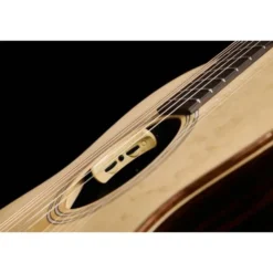 Lakewood M-Macassar Custom