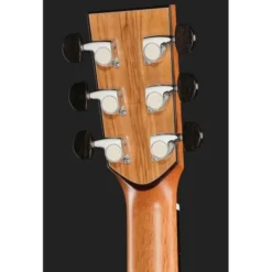 Lakewood M-Olive Custom