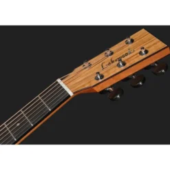 Lakewood M-Olive Custom