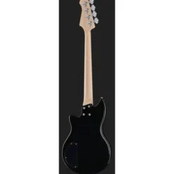 Lakland Skyline Hollowbody-30 4 BG