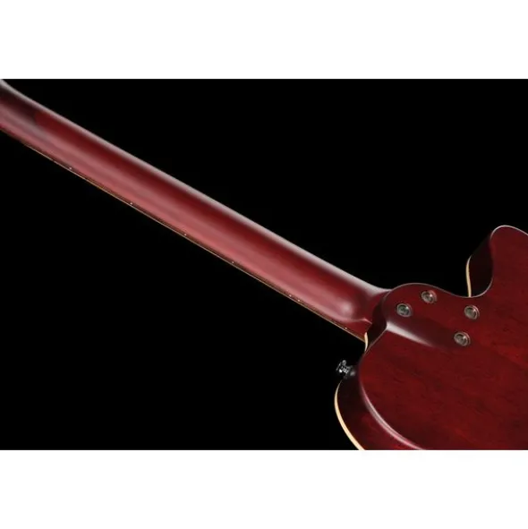 Larry Carlton G5A Tobacco Sunburst LH