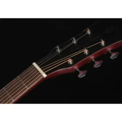 Larry Carlton G5A Tobacco Sunburst LH