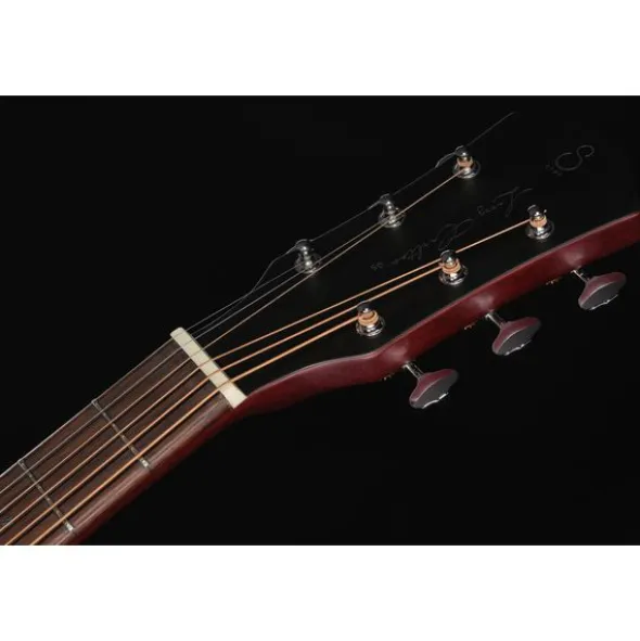 Larry Carlton G5A Tobacco Sunburst LH