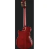 Larry Carlton G5N Tobacco Sunburst