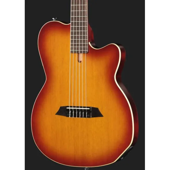 Larry Carlton G5N Tobacco Sunburst