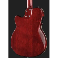 Larry Carlton G5N Tobacco Sunburst