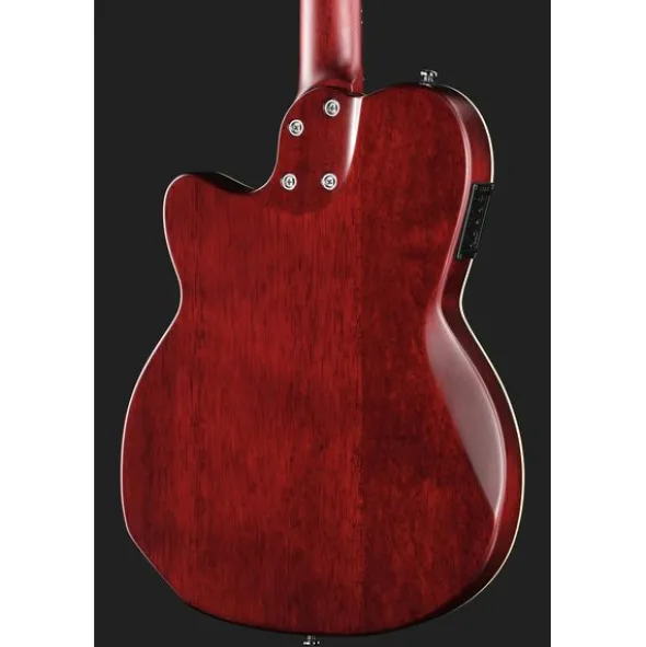 Larry Carlton G5N Tobacco Sunburst