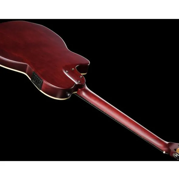 Larry Carlton G5N Tobacco Sunburst