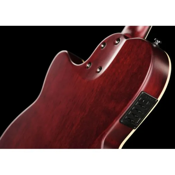 Larry Carlton G5N Tobacco Sunburst