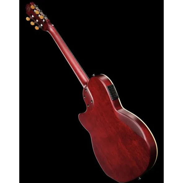 Larry Carlton G5N Tobacco Sunburst