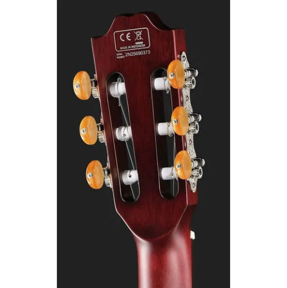 Larry Carlton G5N Tobacco Sunburst