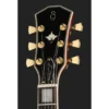 Larry Carlton L7 Dx Amber Burst LH