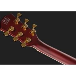 Larry Carlton L7 Dx Amber Burst