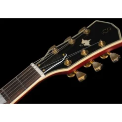 Larry Carlton L7V TS New Gen