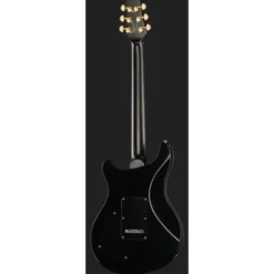 Larry Carlton Q7 Black