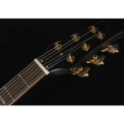 Larry Carlton Q7 Black