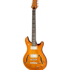 Larry Carlton Q7 Hollow Amber Burst