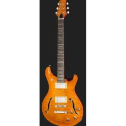 Larry Carlton Q7 Hollow Amber Burst